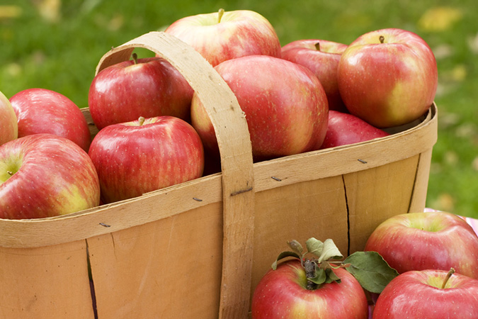 The recipe calls for Rome Beauty apples, but Honeycrisp apples can also be used (Honeycrisp apples pictured).