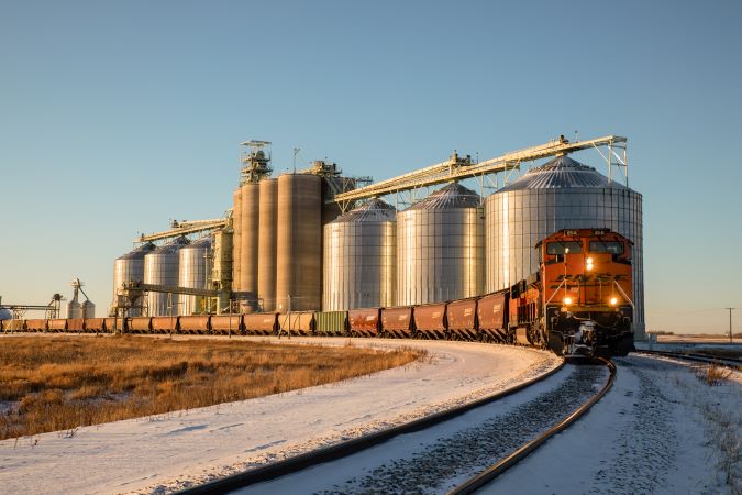 A BNSF grain train near the end of harvest season. A BNSF grain train near the end of harvest season.