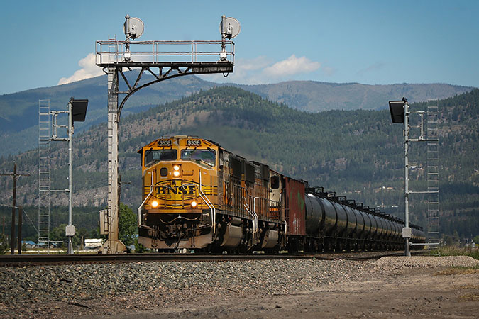 An example of a Xander photo 